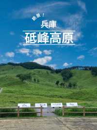 兵庫　夏がオススメ！砥峰高原🌳