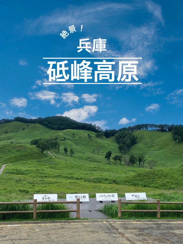 兵庫　夏がオススメ！砥峰高原🌳