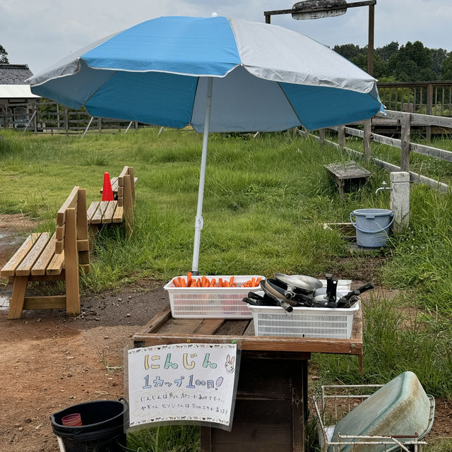 季節の花に動物、昭和にタイムスリップまで！？📍ぎふ清流里山公園