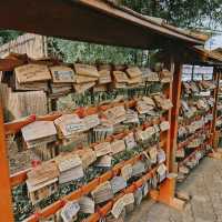 หมู่บ้านโบราณของชาวญี่ปุ่น 