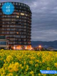 12000本咲き乱れる菜の花畑✨いまが見頃！滋賀県の絶景スポット「第1なぎさ公園　菜の花畑」