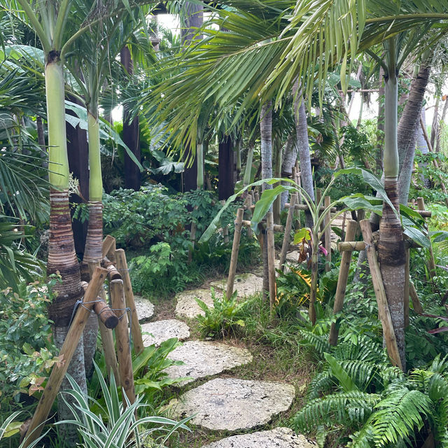 【宮古島】南国風の超おしゃれカフェ☕️🌺🌴