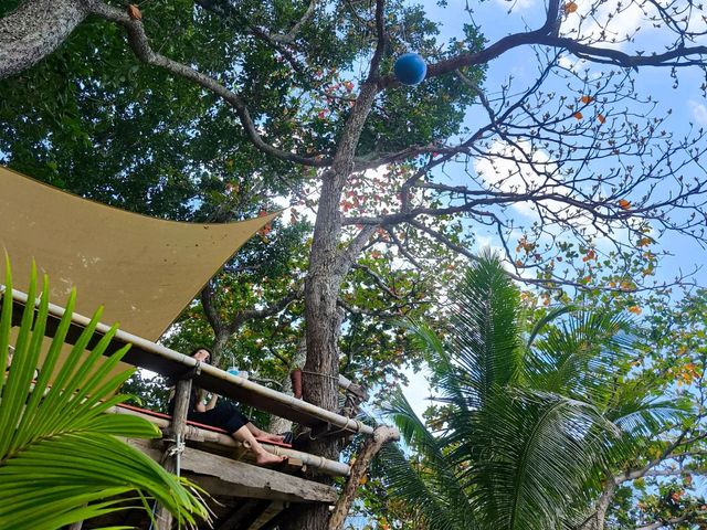 แหลมไทรคัพ คาเฟ่ ภูเก็ต