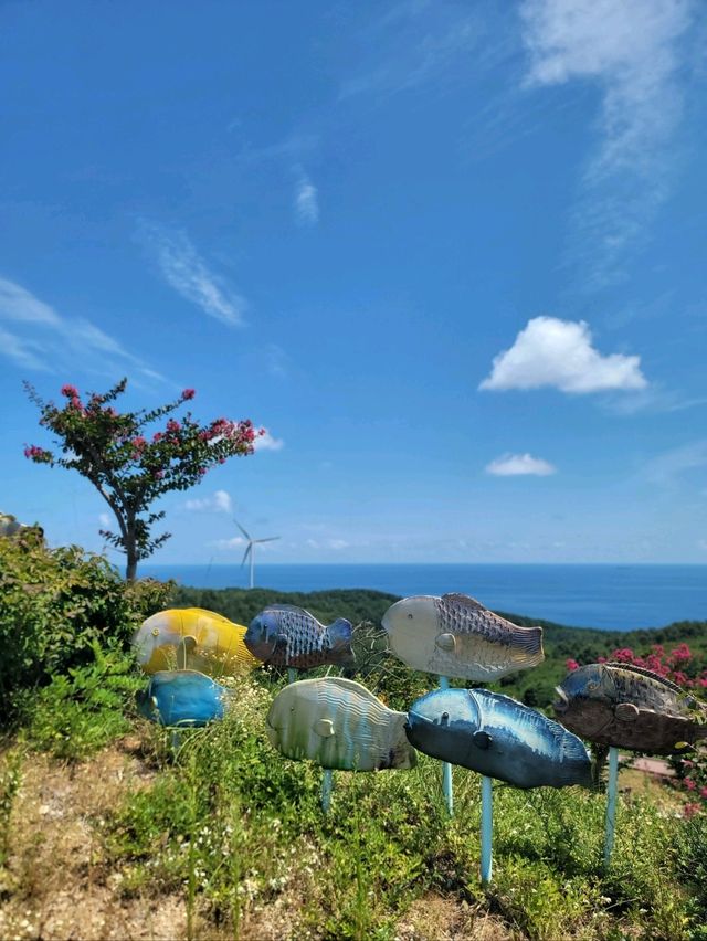 영덕필수여행지로 추천하는 풍력발전소✨️