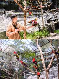 แจกแพลนเที่ยวซาฟารีเวิลด์ 1 วัน 🦁🦒🦜