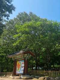 설악산 절경을 한눈에 볼 수 있는 케이블카