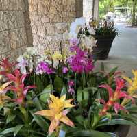 Fairchild Tropical Botanic Garden - Miami’s Lush Green Haven