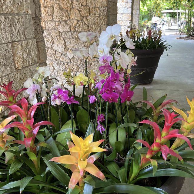 Fairchild Tropical Botanic Garden - Miami’s Lush Green Haven