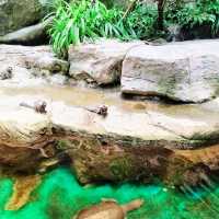 🇲🇾 Underwater World Langkawi: Your Gateway to Ocean Adventures