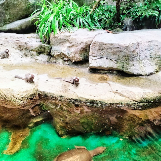 🇲🇾 Underwater World Langkawi: Your Gateway to Ocean Adventures