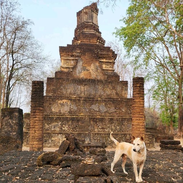 อุทยานประวัติศาสตร์ศรีสัชนาลัย