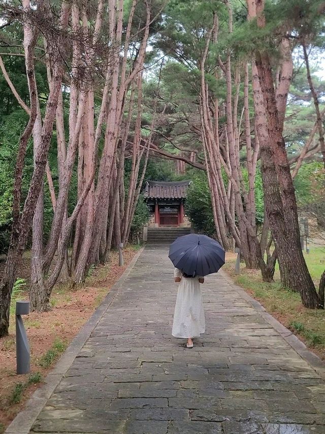 독특한 분위기 가득한 남해 가볼만한 곳💚