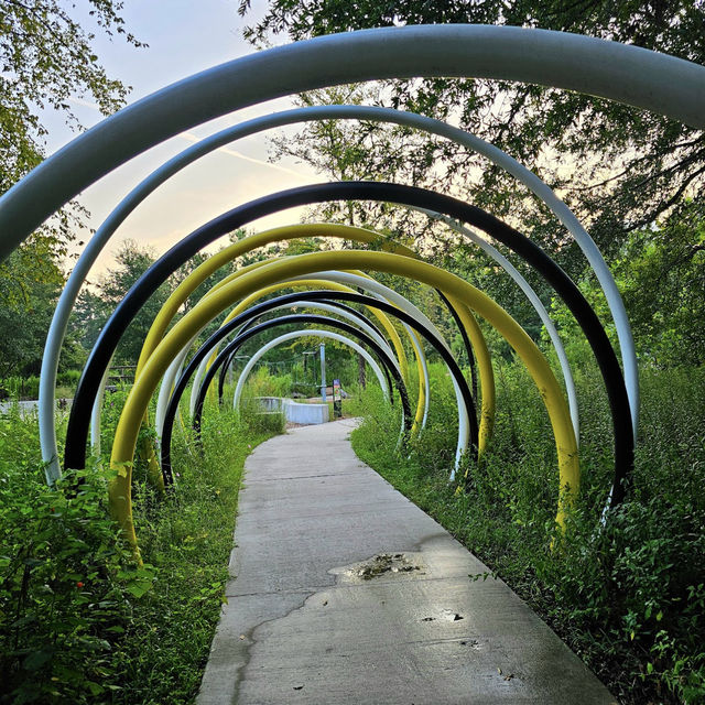 Houston Arboretum & Nature Center: A Natural Haven