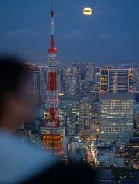 【東京鐵塔】最美拍照機位🏖️，適合白天和晚上🔥⭐️