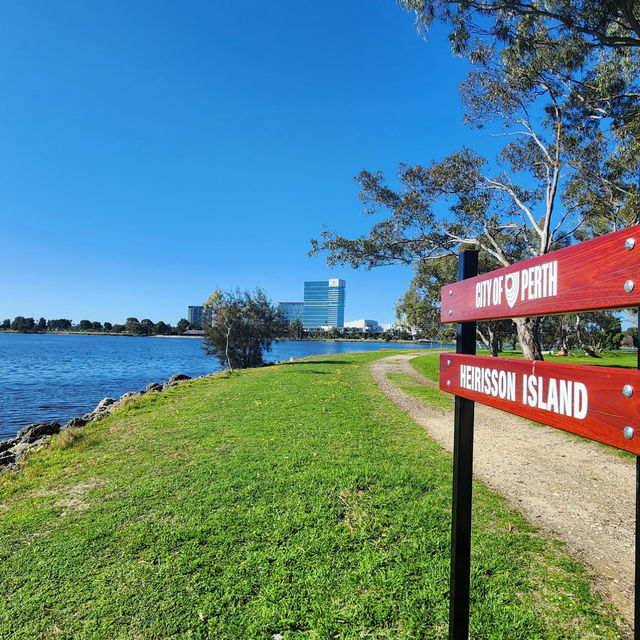 A Tranquil Escape with Kangaroos