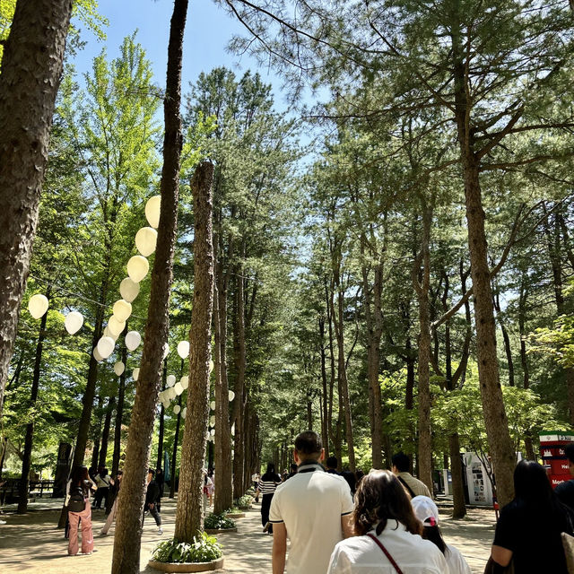 Nami Island: Where Every Angle Is Insta-Gold