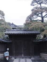 鎌倉三大賞花勝地：長谷寺的繡球花小路