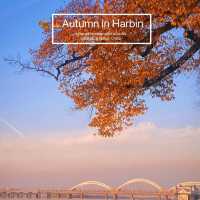 Harbin in Autumn 🍂 