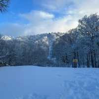 🏂❄️⛷️新雪谷滑雪場🎠冬季運動愛好者的天堂🏂❄️⛷️