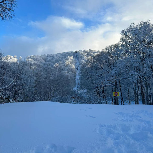 🏂❄️⛷️新雪谷滑雪場🎠冬季運動愛好者的天堂🏂❄️⛷️