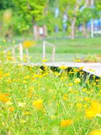 Running with Me @สวนรถไฟ 