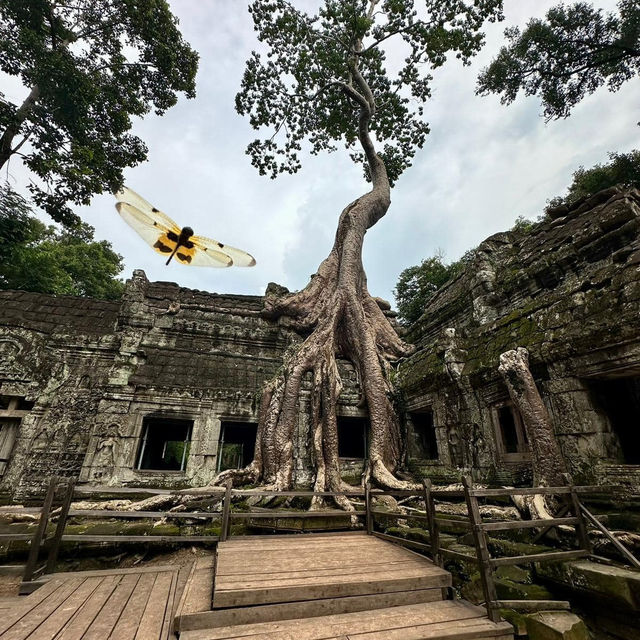 Unveiling Ancient Khmer Majesty: Angkor Wat's Eternal Splendor