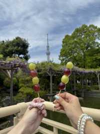 藤とスカイツリーが楽しめるスポット🪻🗼