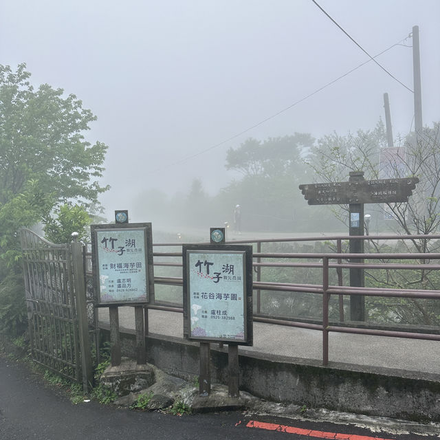 ［台北］在雲端漫步的陽明山公園
