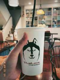 【タイ🇹🇭】大型犬🐩ハスキー大渋滞！ハスキーカフェ完全攻略☕️
