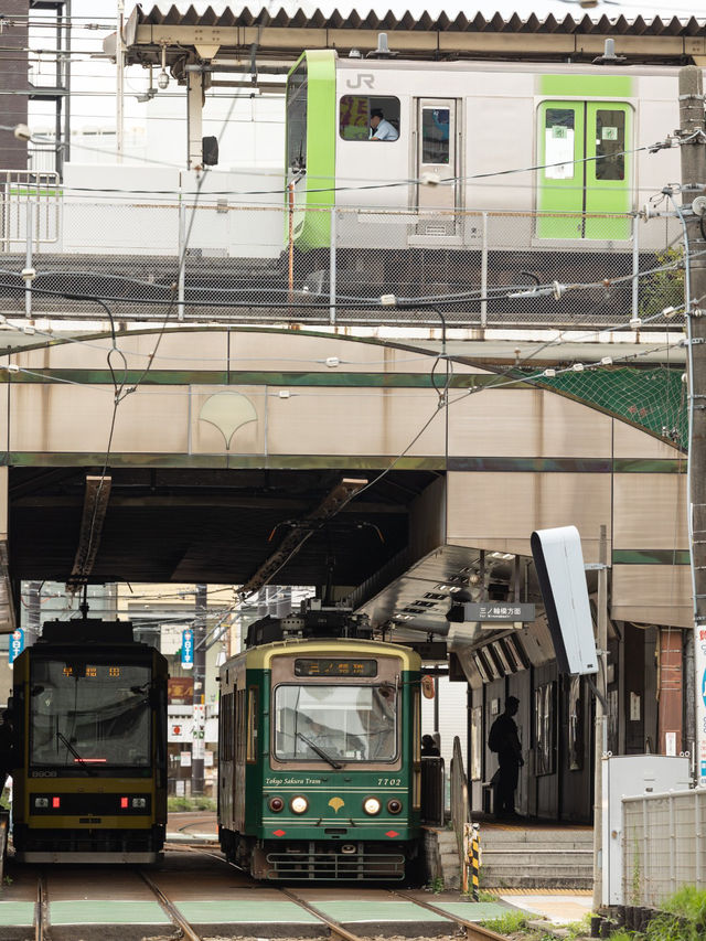 ［東京散策] 東京碩果僅存的路面電車