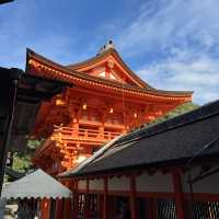 【京都】神社巡り　世界遺産！