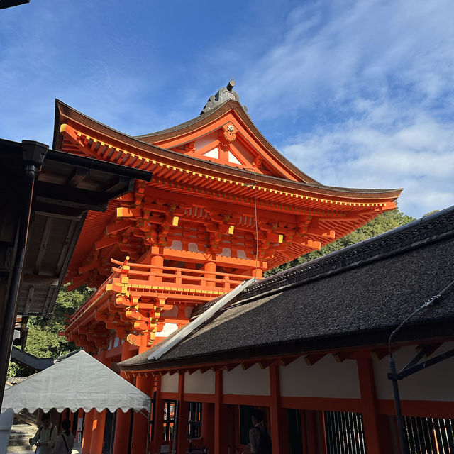 【京都】神社巡り　世界遺産！