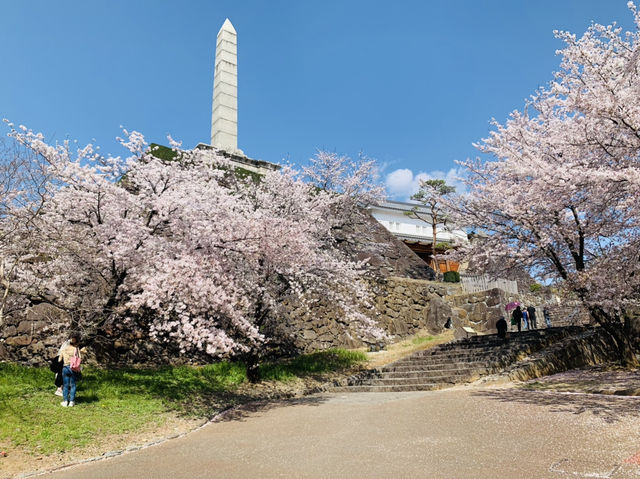 山梨観光　舞鶴城公園