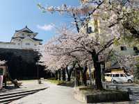 山梨観光　舞鶴城公園