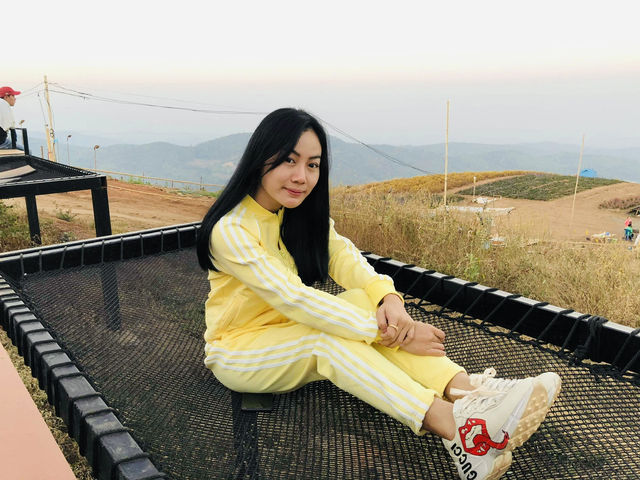 บ้านภูหมอก ม่อนแจ่ม เชียงใหม่ 🏕️