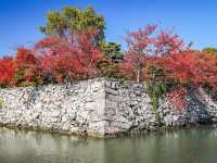 德島中央公園