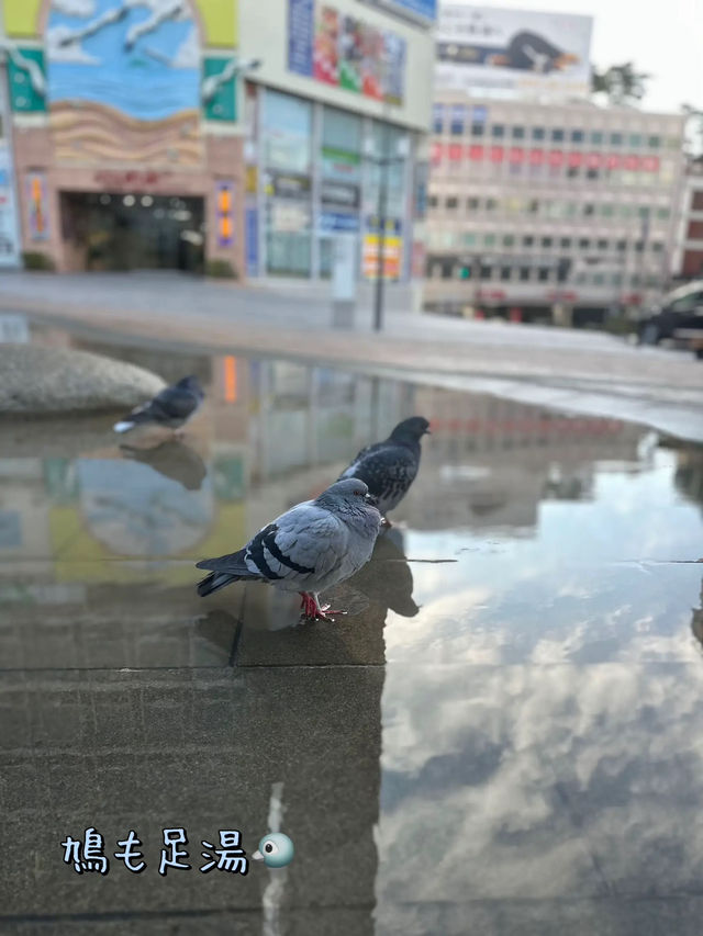 【📍熱海】電車で途中下車して熱海を散策🚶‍♀️学生ぶりに歩いてみたからスポット紹介✨都内からも近くてオススメ