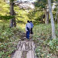 【北海道】熊にも会えるかも？知床の大自然を満喫できる公園とは