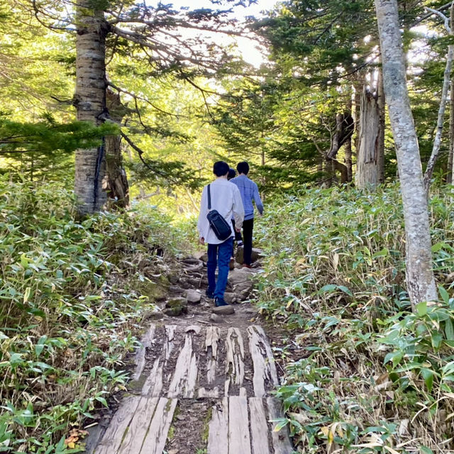 【北海道】熊にも会えるかも？知床の大自然を満喫できる公園とは