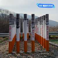 大邱 馬飛亭壁畫村