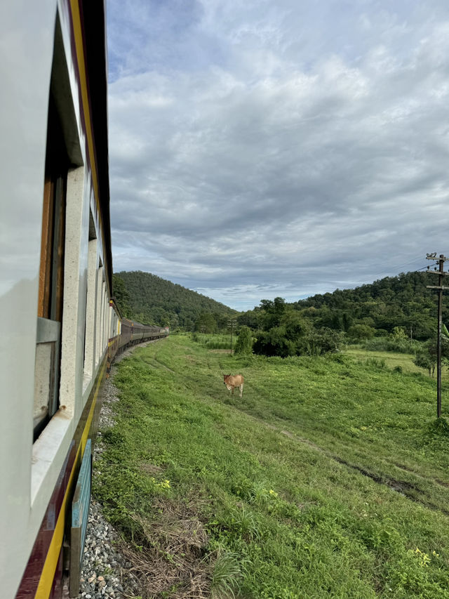 นั่งรถไฟเชียงใหม่-แพร่ | ฤดูฝน 🚃⛰️🌿🌳