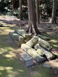 【長崎県】日本古代の女神たちが祀られていた神社