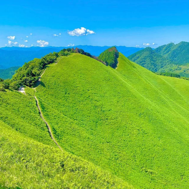 二丿岳：風光明媚⛰️🌿