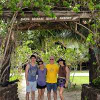 Arriving in paradise