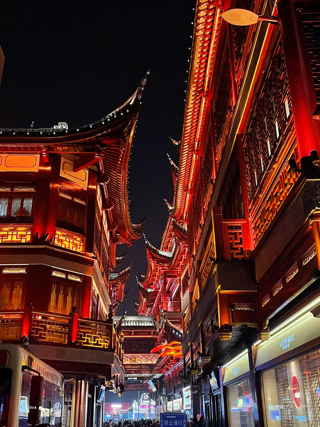 Yuyuan Old Street: A Journey Through Time Amidst Nighttime Lights