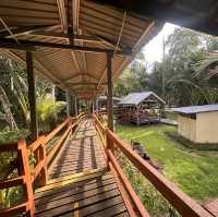 Local Hot Spring Surrounded By Nature!