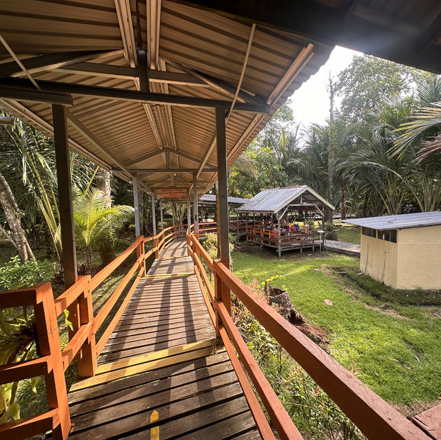 Local Hot Spring Surrounded By Nature!