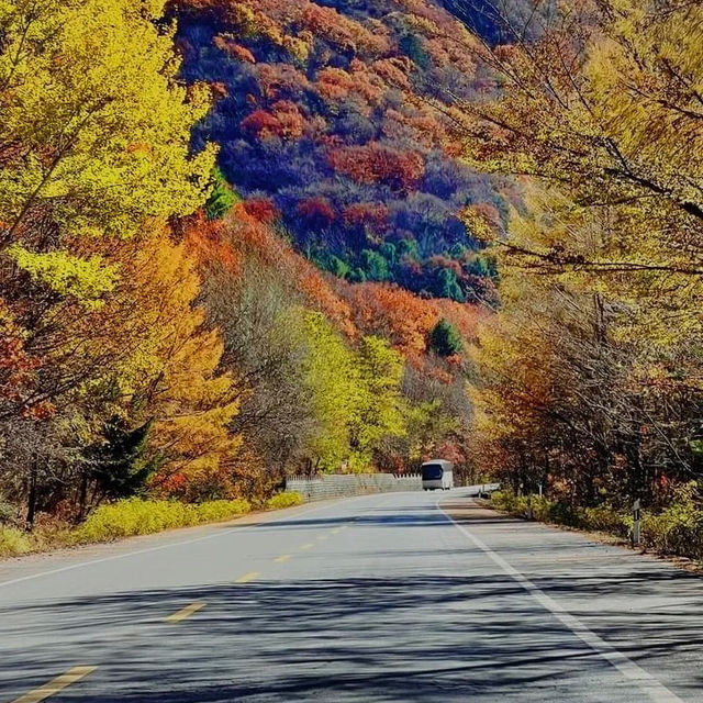 ～海坨山谷～紅葉奇觀～