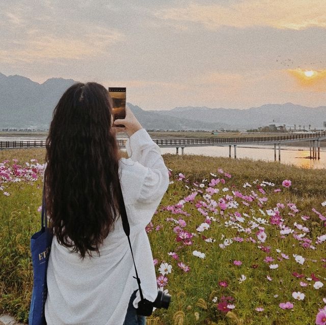 강진으로 떠나는 가을여행