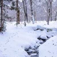 ～沼尻滑雪場～冬季天堂～